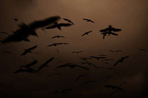 2178292479-13770c3070