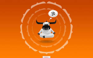 ox
